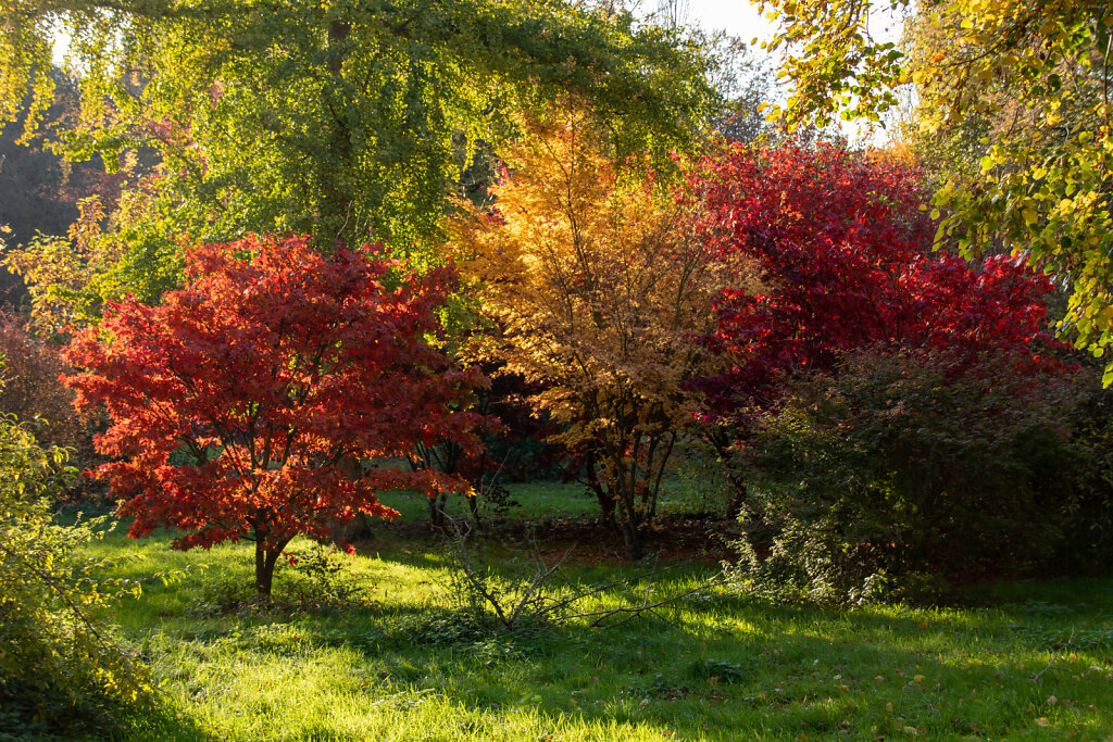 Parc du Septentrion 11/19