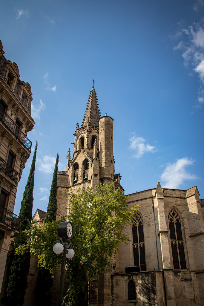 IMG-1781.jpg